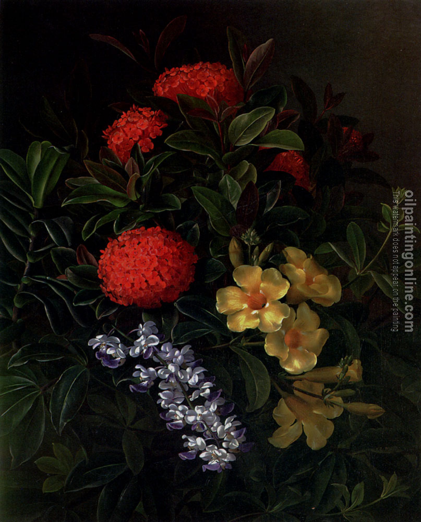 Johan Laurentz Jensen - Allemanda Ixora And Orchids